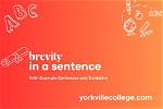 When We Use Brevity?