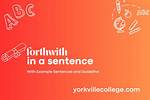 When We Use Forthwith?