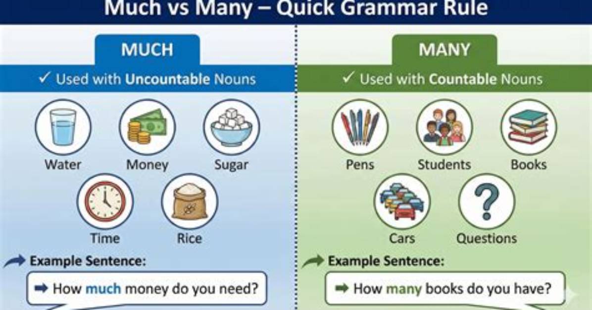 When We Use Much?