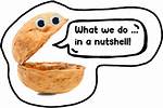 When We Use Nutshell?