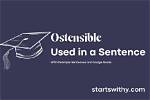 When We Use Ostensible?