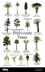 When Were Trees Discovered?