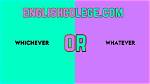 When Whichever Is Used?