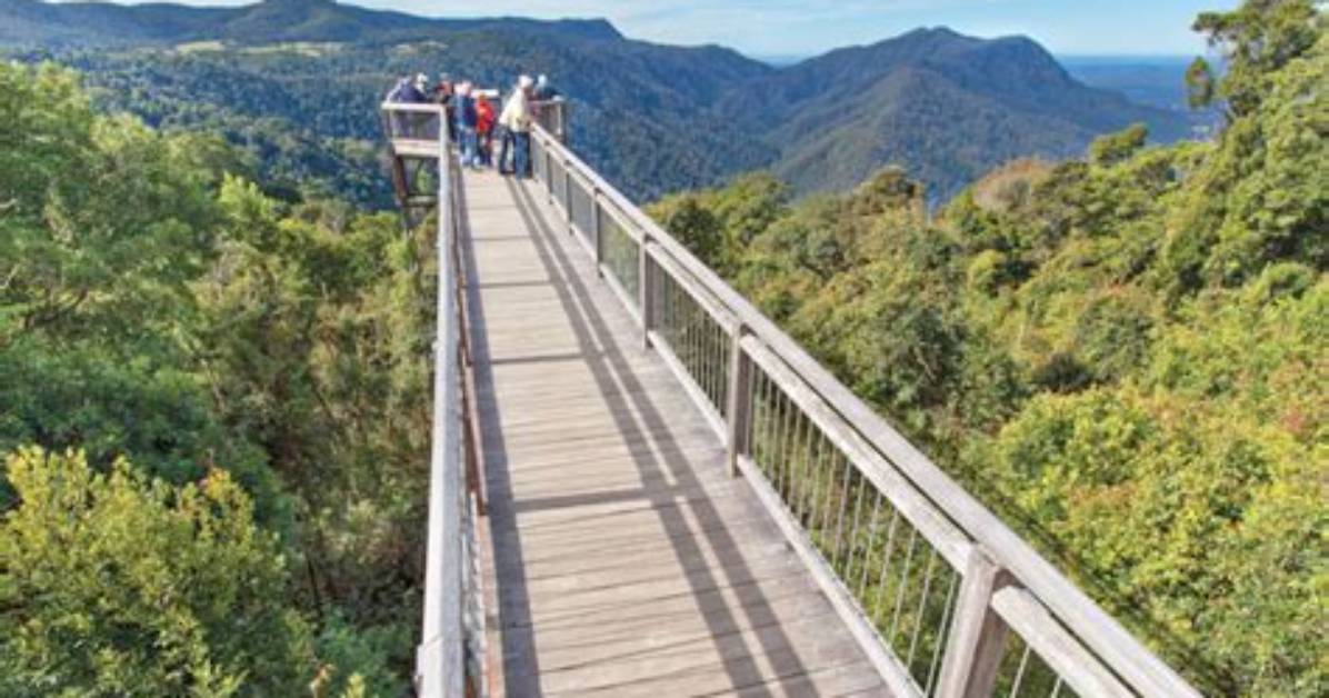 When Will Dorrigo Mountain Open?