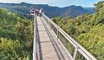 When Will Dorrigo Mountain Open?