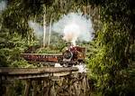 When Will Puffing Billy Reopen?