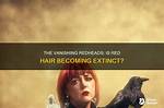 When Will Redheads Be Extinct?