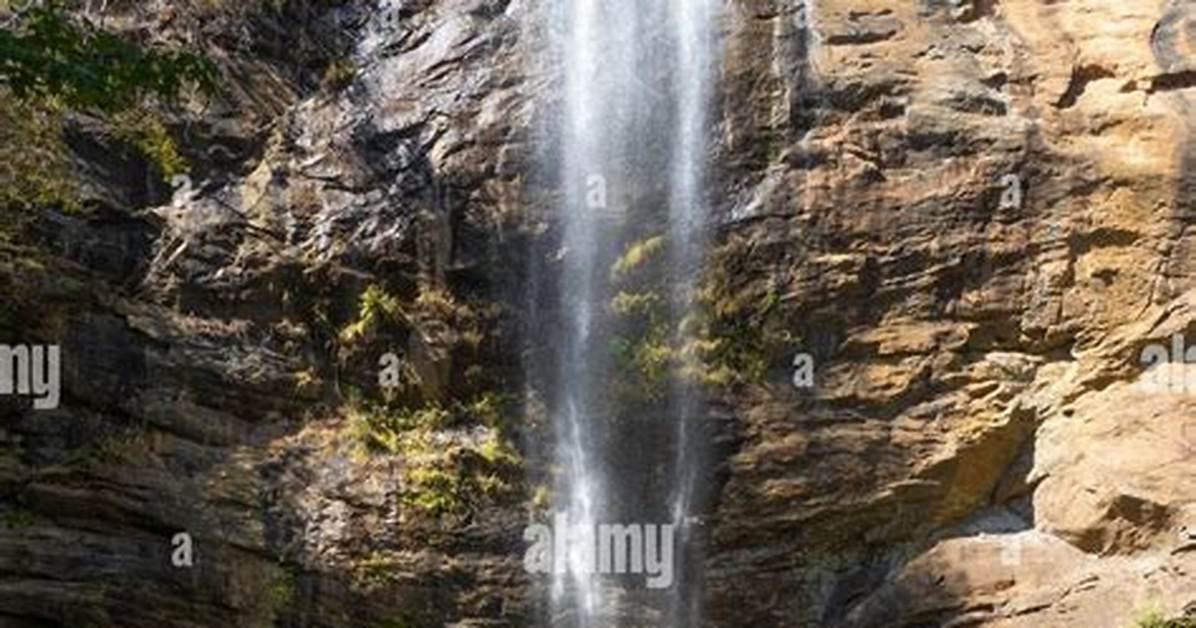 When Will Toccoa Falls Reopen?