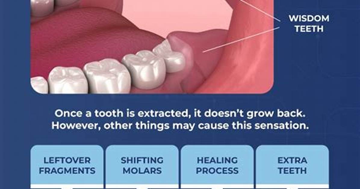 When Wisdom Teeth Grow?