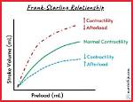 When You Increase Contractility?