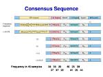 Where Are Consensus Sequences Found?