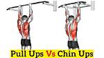 Where Are Pull Ups Made?