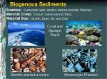 Where Are Sediments Found?