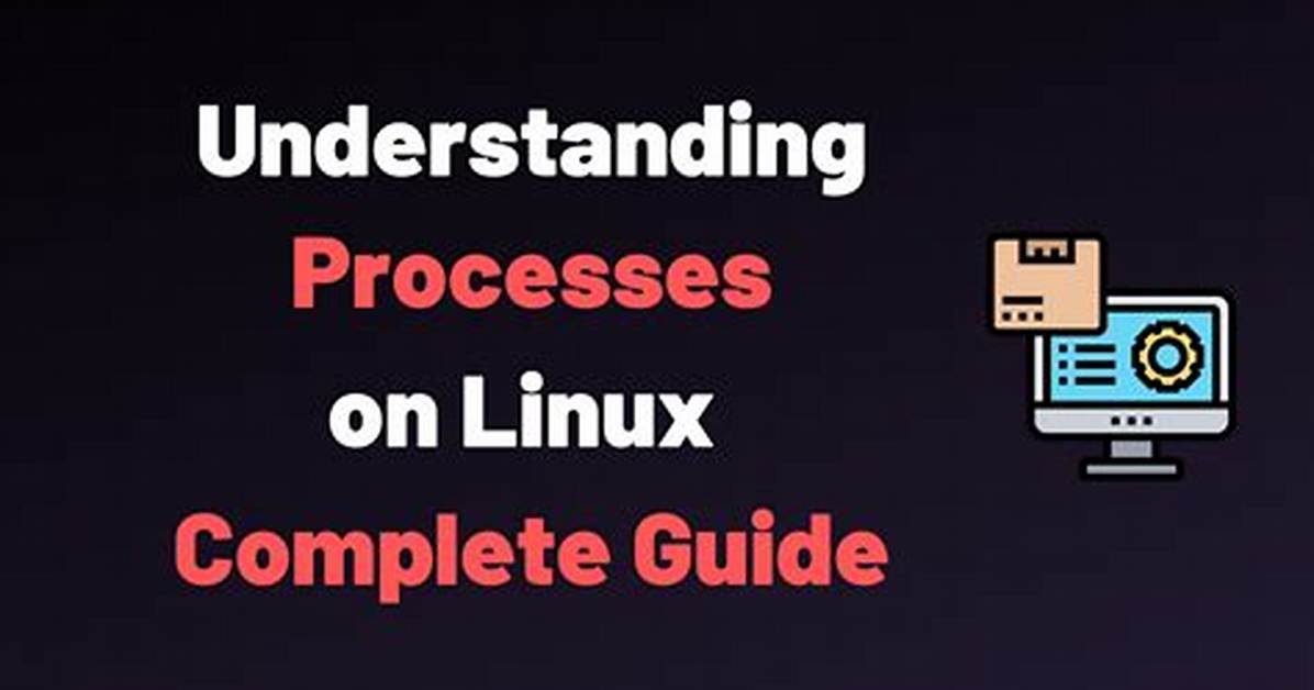 Where Are System Processes Linux?