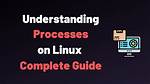 Where Are System Processes Linux?