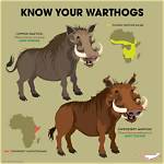 Where Are Warthogs Found?