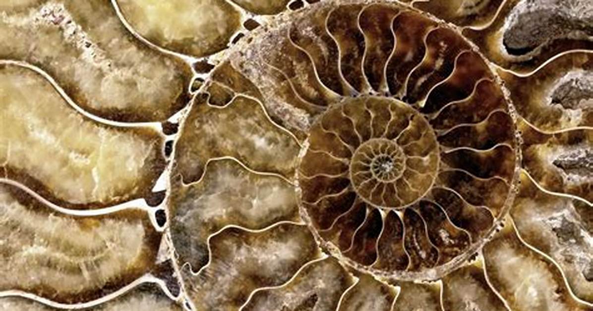 Where Can Patterns Be Found?