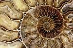 Where Can Patterns Be Found?