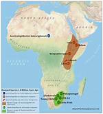 Where Did Australopithecus Live?