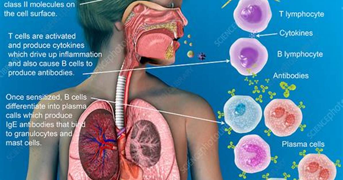 Where Do Allergists Work?