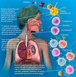 Where Do Allergists Work?