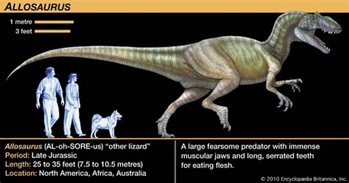 Where Do Allosaurus Live?