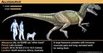 Where Do Allosaurus Live?