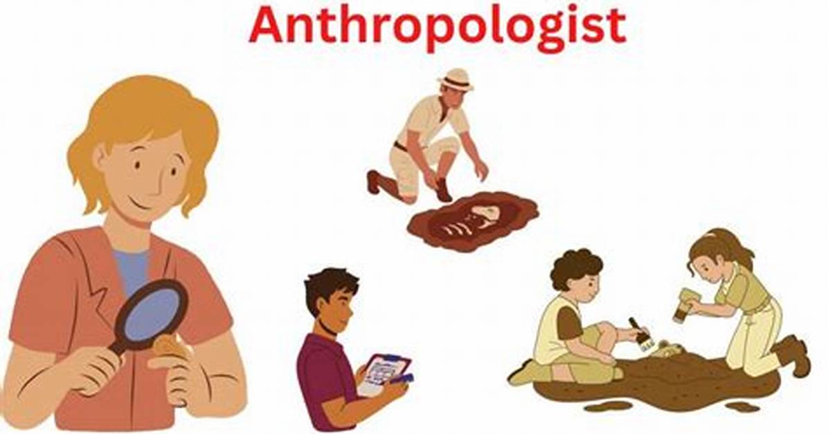 Where Do Anthropologists Work?