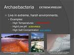 Where Do Archaebacteria Live?