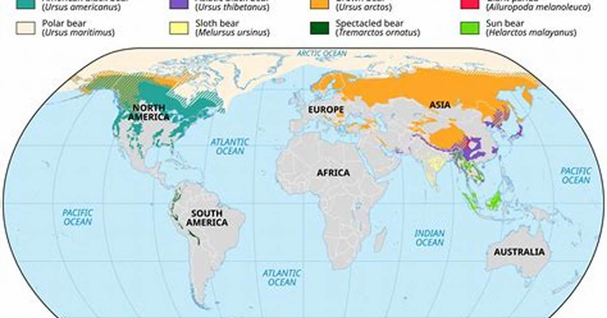 Where Do Bears Live?
