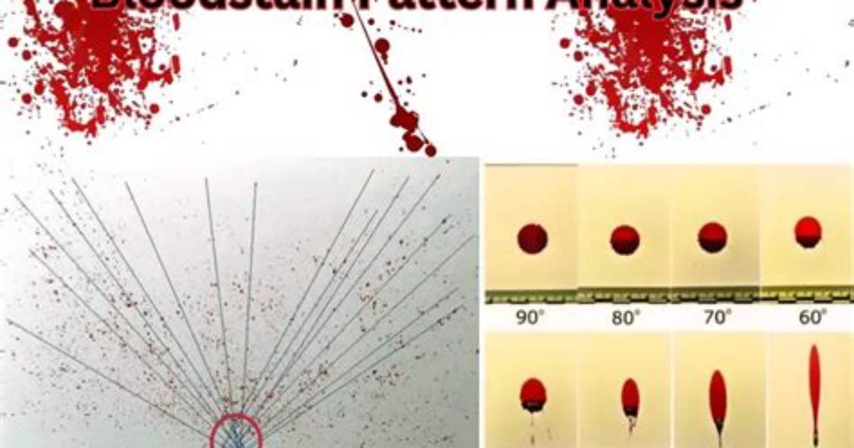 Where Do Bloodstain Pattern Analysis Work?