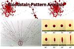 Where Do Bloodstain Pattern Analysis Work?