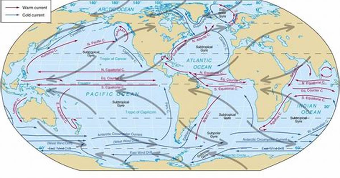 Where Do Cold Ocean Currents Flow?