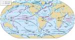 Where Do Cold Ocean Currents Flow?