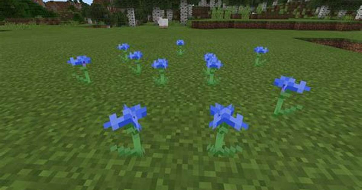 Where Do Cornflowers Spawn in Minecraft?