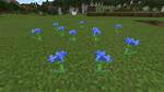 Where Do Cornflowers Spawn in Minecraft?