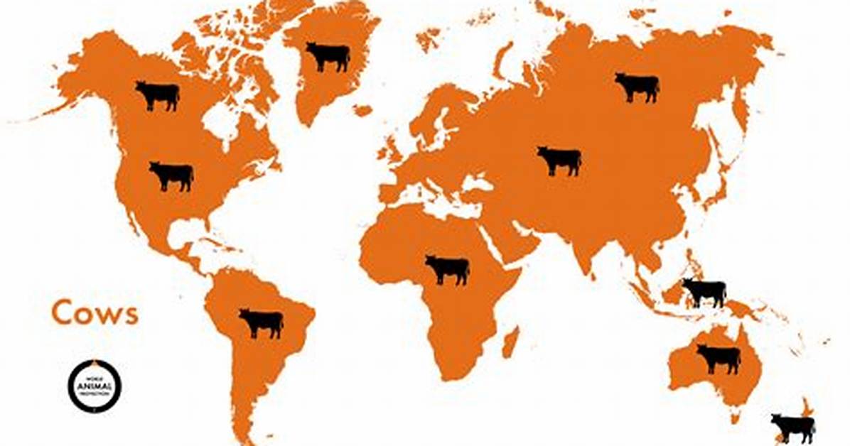 Where Do Cows Live?