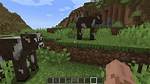 Where Do Cows Spawn in Minecraft?