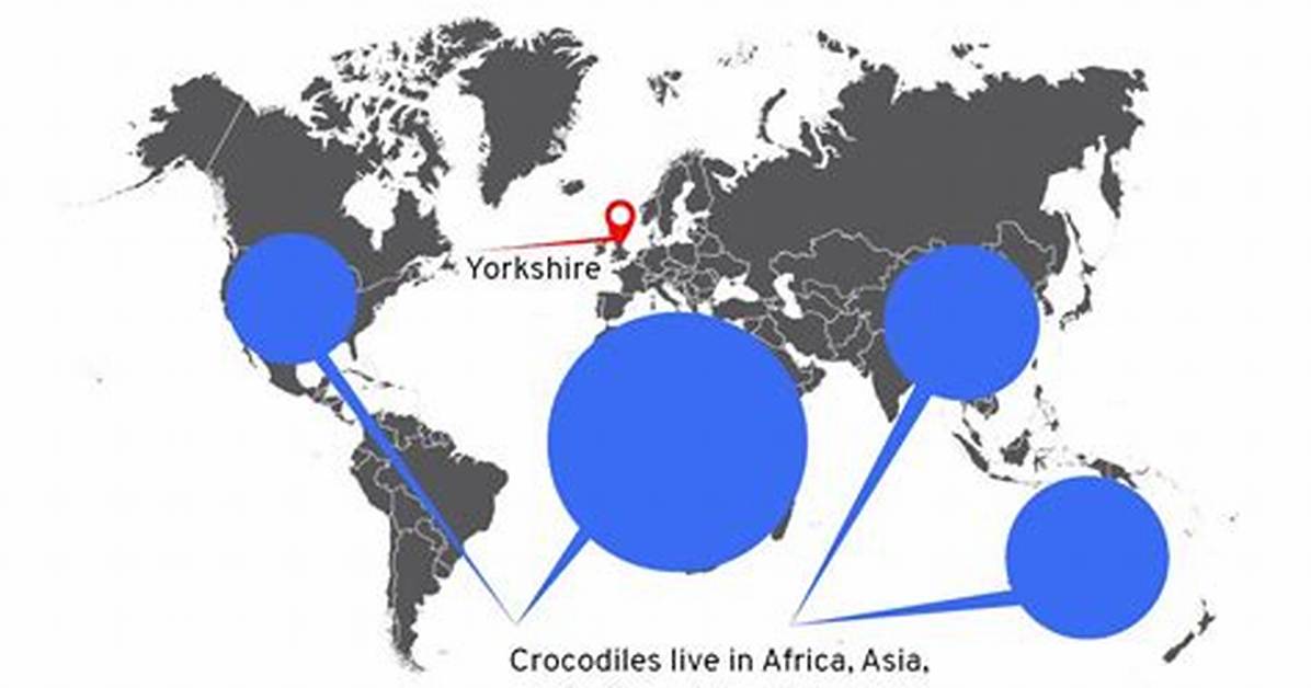 Where Do Crocodiles Live?