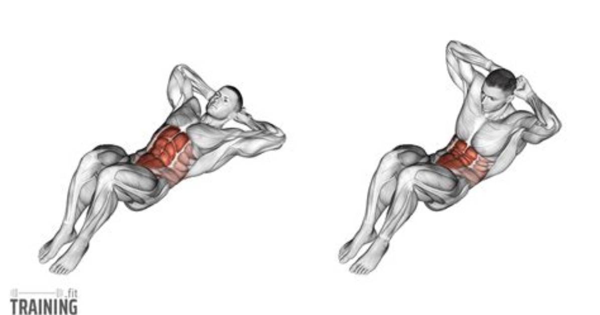 Where Do Crunches Target?