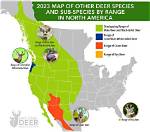 Where Do Deers Live?