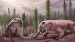 Where Do Dicynodont Live?