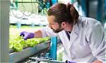 Where Do Food Technologists Work?
