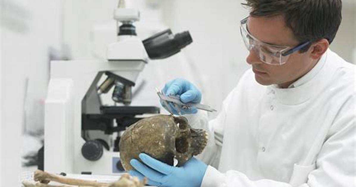 Where Do Forensic Scientists Work?