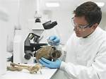 Where Do Forensic Scientists Work?