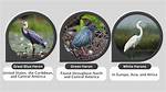 Where Do Herons Live?