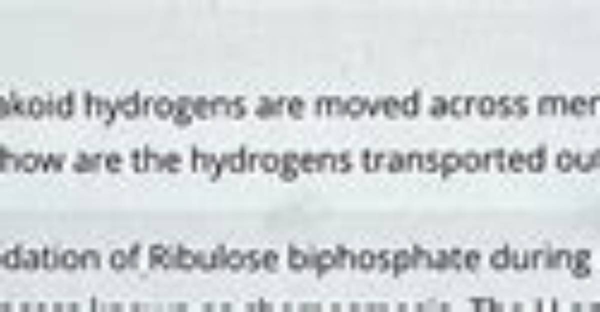 Where Do Hydrogens Come from?