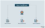 Where Do I Put Root Certificates