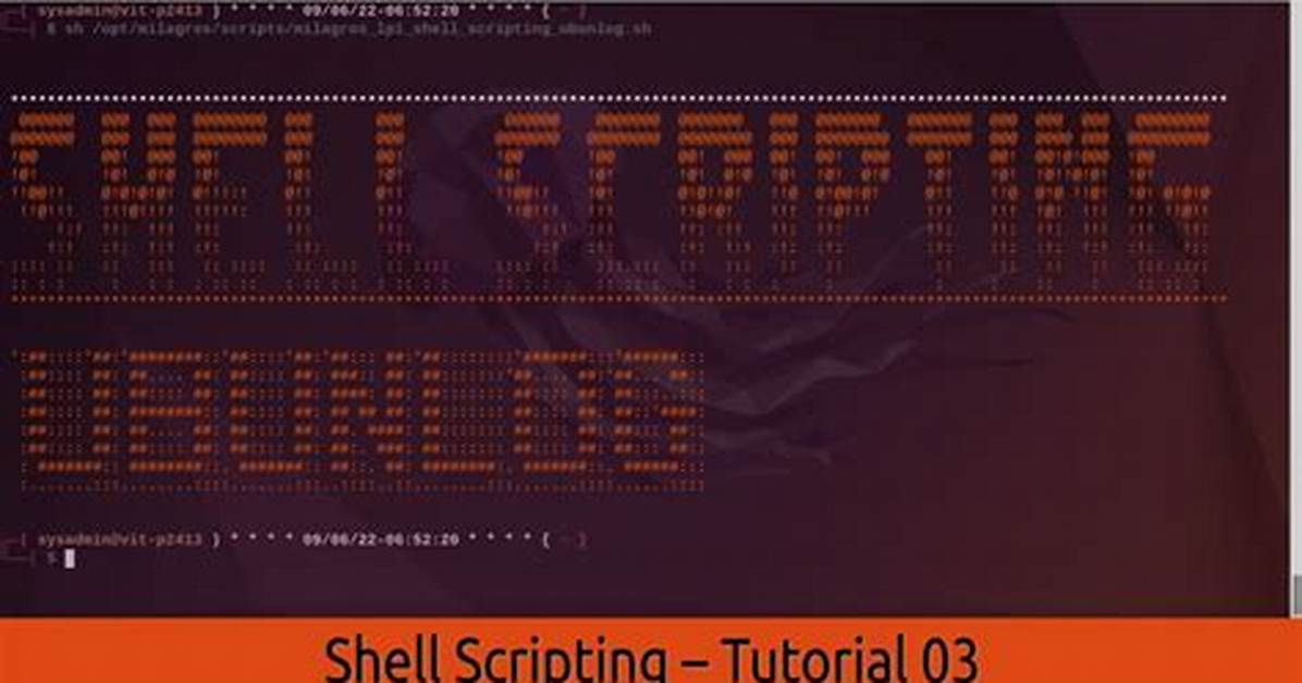 Where Do I Put Shell Scripts in Ubuntu?