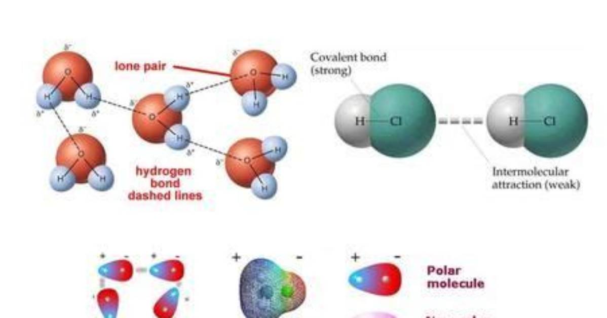 Where Do Intermolecular Forces Exist?